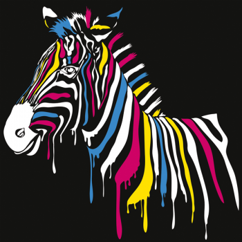 Obraz ZEBRA MULTICOLOR G1640 PINTDECOR