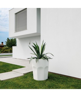 VÁZA CUBALIBRE 6223 PLUST