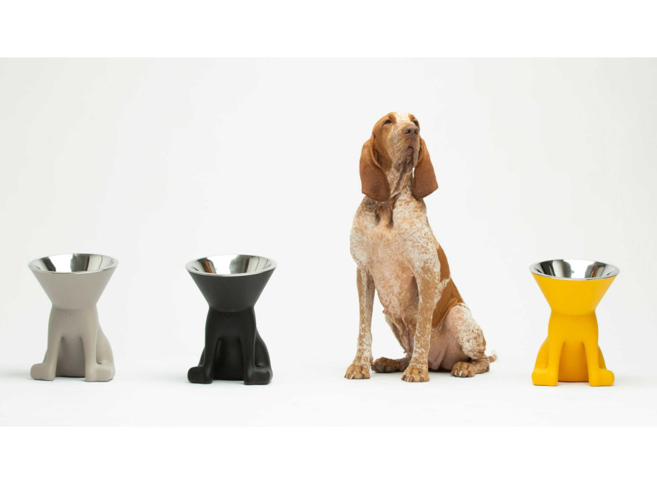 Ciotola rialzata ELIZABETH SLIDE