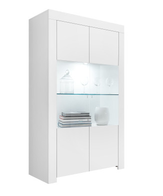 FIRENZE-vetrina 2 ante