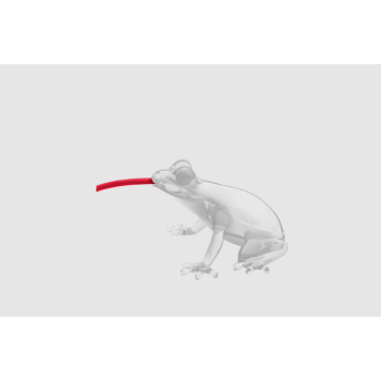 Lampada Hungry Frog QEEBOO
