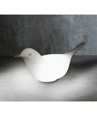 Paloma con Luce SERRALUNGA