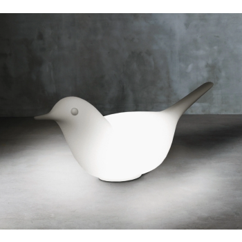 Paloma con Luce SERRALUNGA