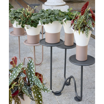 Portapiante da terra MIMOSA SCAB 