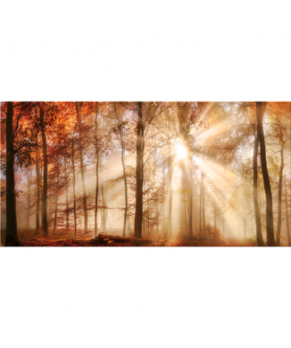 Quadro BOSCO G5380 PINTDECOR