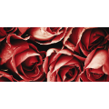Quadro BOUQUET ROSSO G1092 PINTDECOR