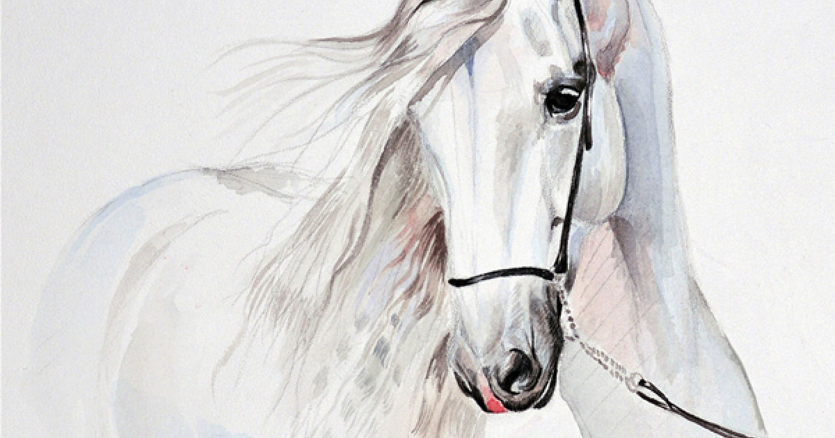 Quadro CAVALLO BIANCO G2006 PINTDECOR
