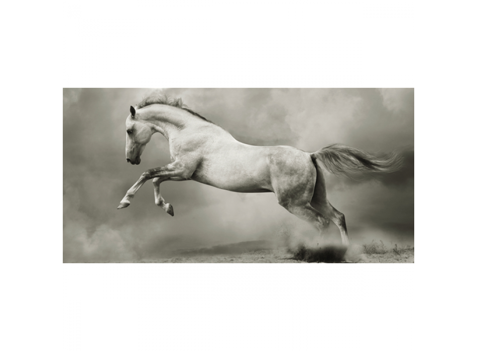 Quadro CAVALLO IMBIZZARRITO G2008 PINTDECOR