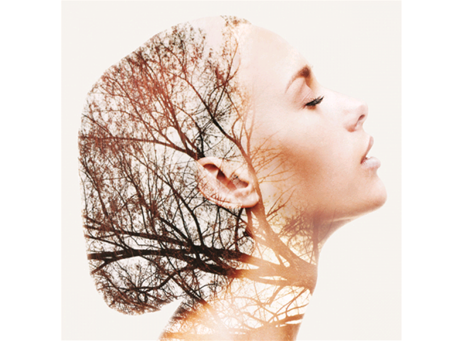 Quadro DAFNE G3790 PINTDECOR