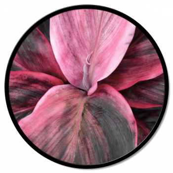 Quadro DETTAGLIO FLOREALE GT6188 PINTDECOR