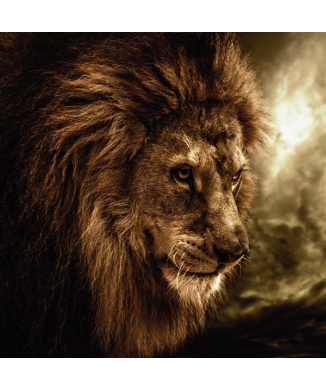 Quadro KING G1526 PINTDECOR