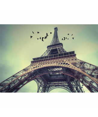 Quadro LA TORRE DI PARIGI G2116 PINTDECOR