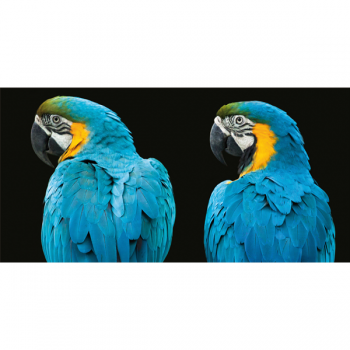 Quadro LOROS G3254 PINTDECOR