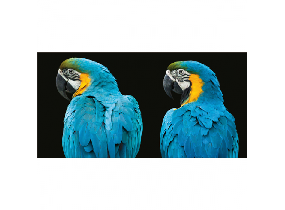 Quadro LOROS G3254 PINTDECOR