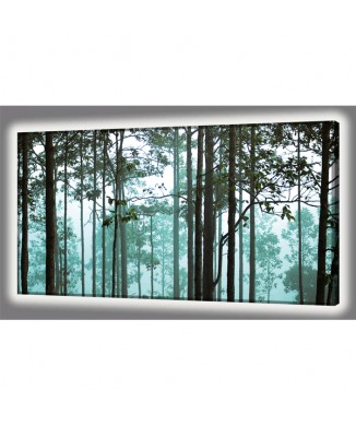 Quadro LUMINOSO BOSCO GL4450 PINTDECOR