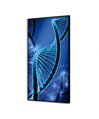 Quadro LUMINOSO DNA GL3488 PINTDECOR