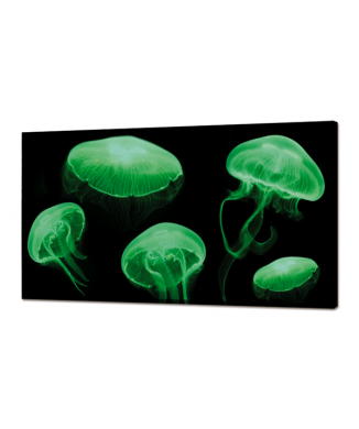 Quadro LUMINOSO MEDUSE FLUO GL3498 PINTDECOR
