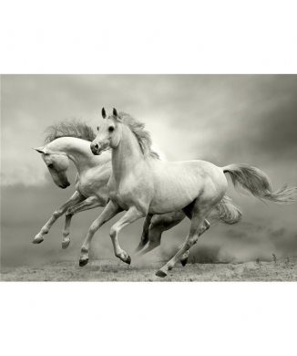 Quadro MUSTANG G3302 PINTDECOR