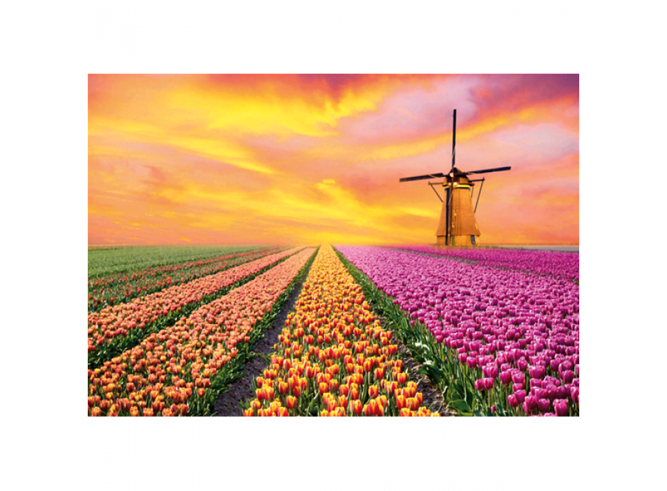 Quadro PAESAGGI OLANDA G4130 PINTDECOR