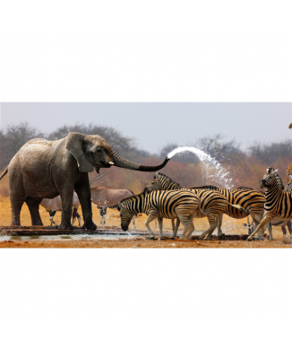 Quadro SAVANA G1514 PINTDECOR