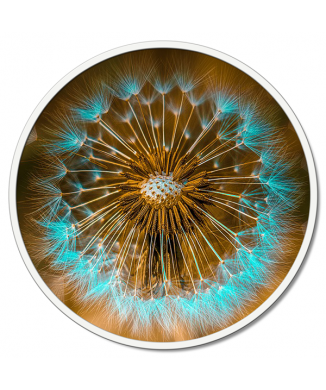 Quadro SOFFIONE TURCHESE GT6224 PINTDECOR