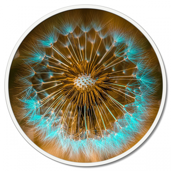 Quadro SOFFIONE TURCHESE GT6224 PINTDECOR