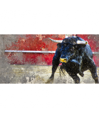 Quadro TORO NELL'ARENA G2236 PINTDECOR