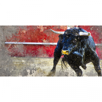 Quadro TORO NELL'ARENA G2236 PINTDECOR