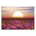 Quadro TRAMONTO TRA I FIORI G6978 PINTDECOR