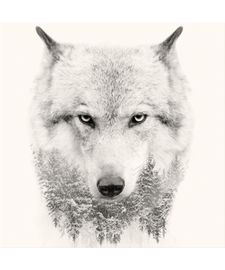 Quadro WHITE WOLF G3322 PINTDECOR