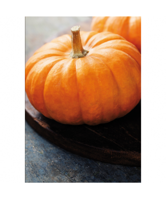 Quadro ZUCCA GIALLA G2756 PINTDECOR