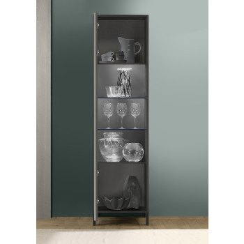 STEEL-vetrina 1 anta