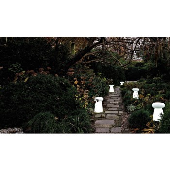 TAVOLO PORCINO CON LUCE SERRALUNGA