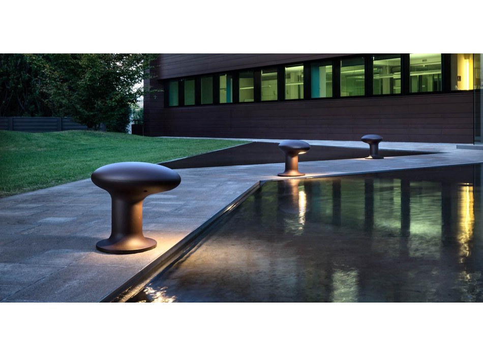 BITTA TORREMATO spotlight