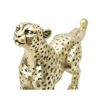 LEOPARDPOINTS SIDDENDE