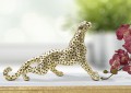 LEOPARDPOINTS SIDDENDE