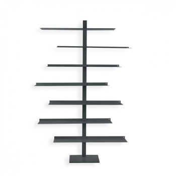 Apollo Siderio Bibliotek