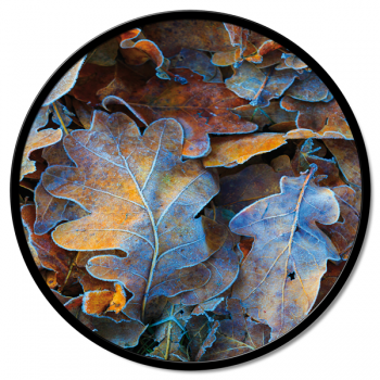 INDRAMMET EFTERÅRS GT6212 PINTDECOR