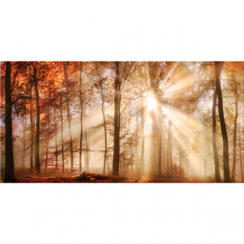 BOSCO G5380 PINTDECOR maling