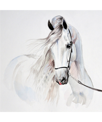 WHITE HORSE G2006 PINTDECOR-maleri