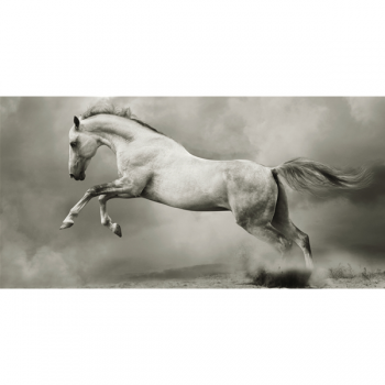 Maleri RUNAWAY HORSE G2008 PINTDECOR