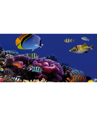 CORALS G1542 PINTDECOR Maleri