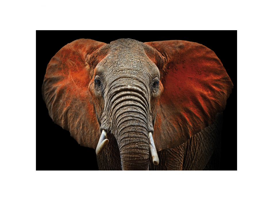 ELEFANT-stel G3276 PINTDECOR