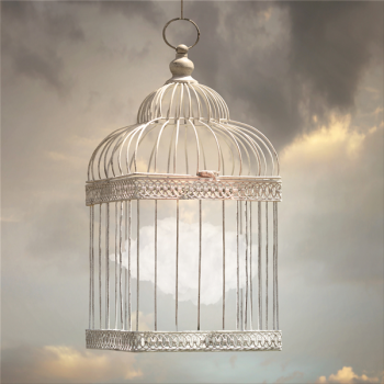 FLY G2954 PINTDECOR Maleri