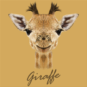 GIRAFF Maleri G3384 PINTDECOR