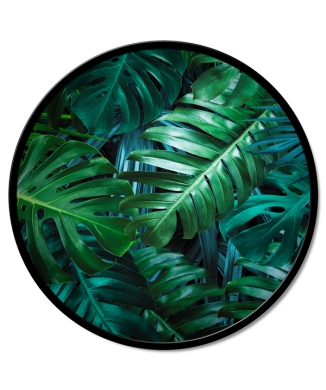 GIUNGLA GT6206 PINTDECOR maleri