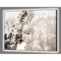 GL4526 PINTDECOR HVID BLOB LYSBILLEDE