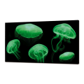 FLUORESCENTERENDE BELYSNINGSMALERIE AF GÅPNER GL3498 PINTDECOR