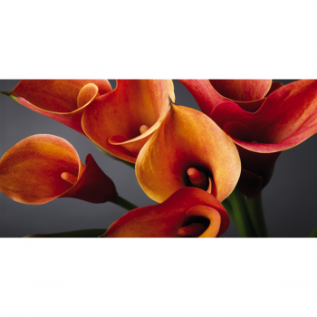 Maleri BUNDET AF CALLA LÆBER G1914 PINTDECOR