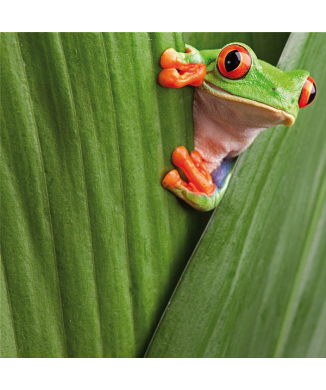 CAMOUFLAGE G3250 PINTDECOR maling